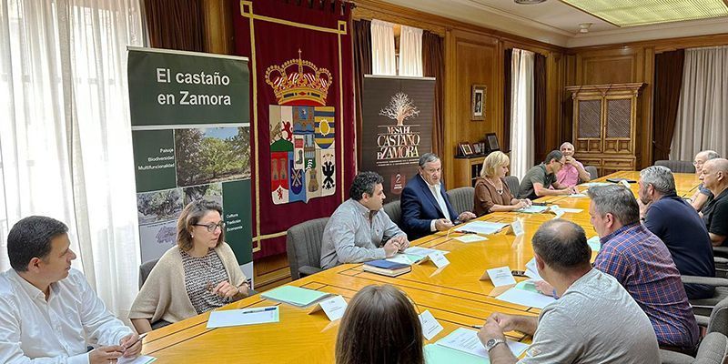 La Diputación de Zamora y la Junta de Castilla y León ponen en marcha el Programa de Promoción de la Castañicultura en la provincia 1