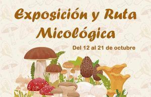 Descubre el Fascinante Mundo de las Setas en Tábara: I Exposición y Ruta Micológica