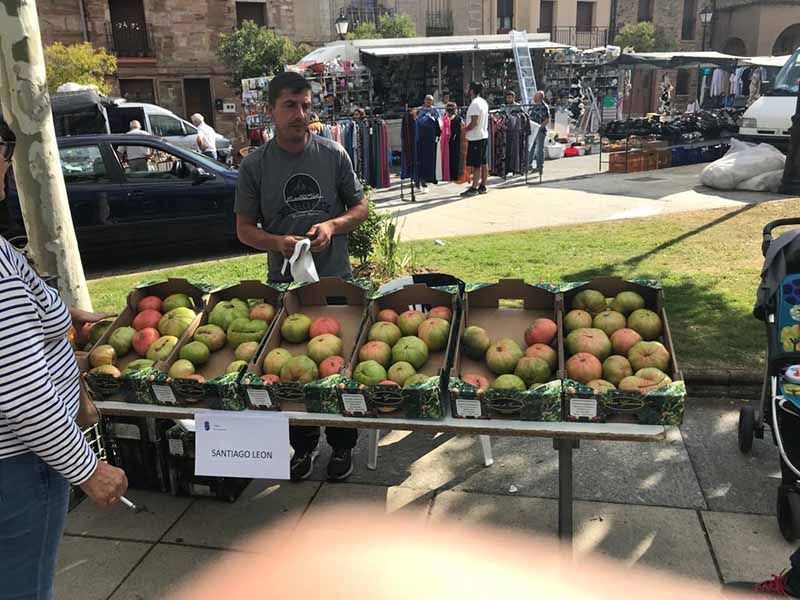 Éxito en la Tercera Edición de la Feria del Tómate en Tábara: Sabor y Tradición se Encuentran en la Plaza Mayor 2