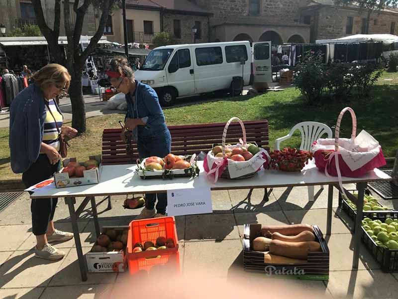Éxito en la Tercera Edición de la Feria del Tómate en Tábara: Sabor y Tradición se Encuentran en la Plaza Mayor 3