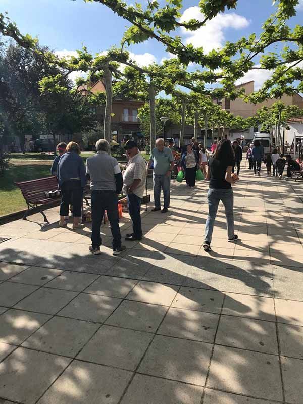 Éxito en la Tercera Edición de la Feria del Tómate en Tábara: Sabor y Tradición se Encuentran en la Plaza Mayor 8