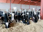 Los agricultores y ganaderos de Castilla y León percibirán más de 660 millones de euros en pagos anticipados de la PAC