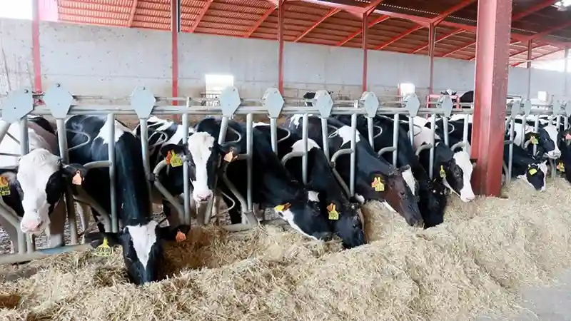 Los agricultores y ganaderos de Castilla y León percibirán más de 660 millones de euros en pagos anticipados de la PAC 1