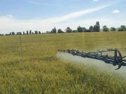 Más de 40.000 agricultores de Castilla y León han recibido ya un total de 70 millones de euros de las ayudas por el encarecimiento de los fertilizantes