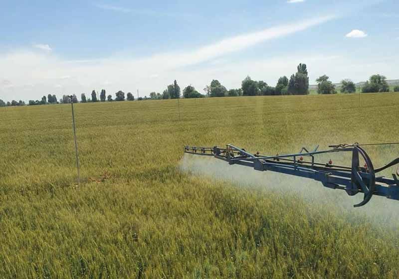 Más de 40.000 agricultores de Castilla y León han recibido ya un total de 70 millones de euros de las ayudas por el encarecimiento de los fertilizantes 1