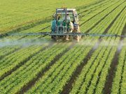 Nota informativa sobre el pago anticipado de la Política Agraria Común (PAC) 2023