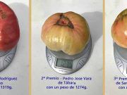 Éxito en la Tercera Edición de la Feria del Tómate en Tábara: Sabor y Tradición se Encuentran en la Plaza Mayor