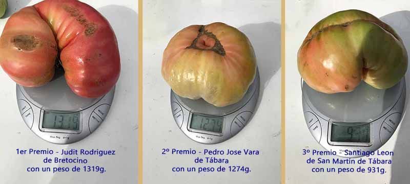 Éxito en la Tercera Edición de la Feria del Tómate en Tábara: Sabor y Tradición se Encuentran en la Plaza Mayor 1