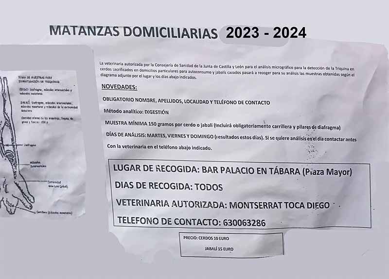 Inicia en Tábara la Campaña de Matanzas Domiciliarias 2023-2024 con Rigurosos Controles Veterinarios 1