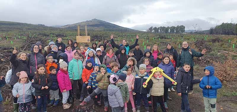 "De un árbol puede crecer un bosque": La Asociación "La Culebra No se Calla" lidera un movimiento de reforestación tras los incendios en Zamora 16