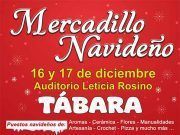 Explorando la Magia de la Temporada: Mercado Navideño de la Asociación Magius en el Auditorio Leticia Rosino