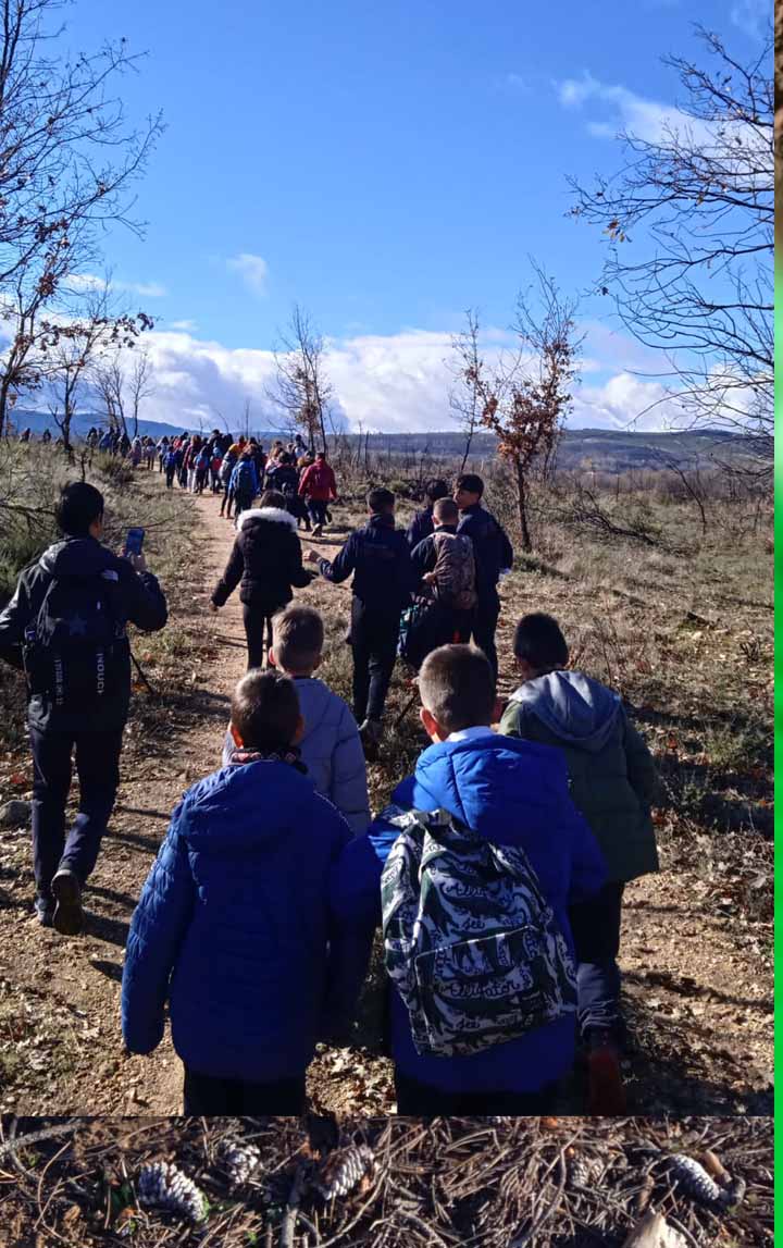 "De un árbol puede crecer un bosque": La Asociación "La Culebra No se Calla" lidera un movimiento de reforestación tras los incendios en Zamora 5