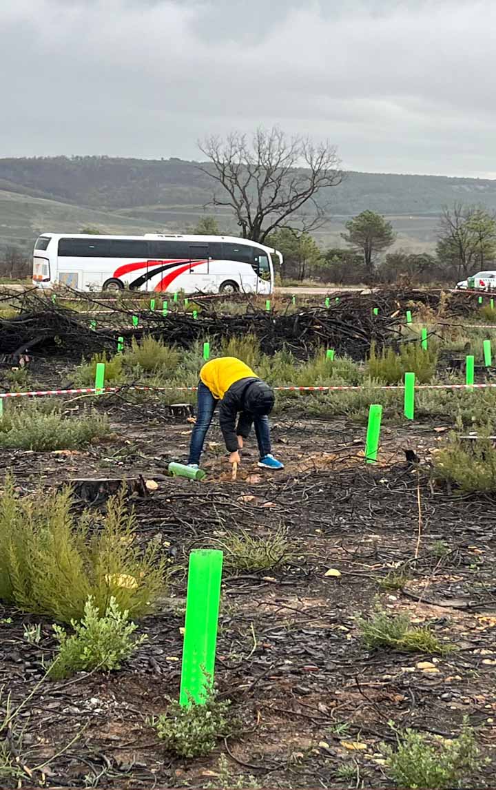 "De un árbol puede crecer un bosque": La Asociación "La Culebra No se Calla" lidera un movimiento de reforestación tras los incendios en Zamora 13