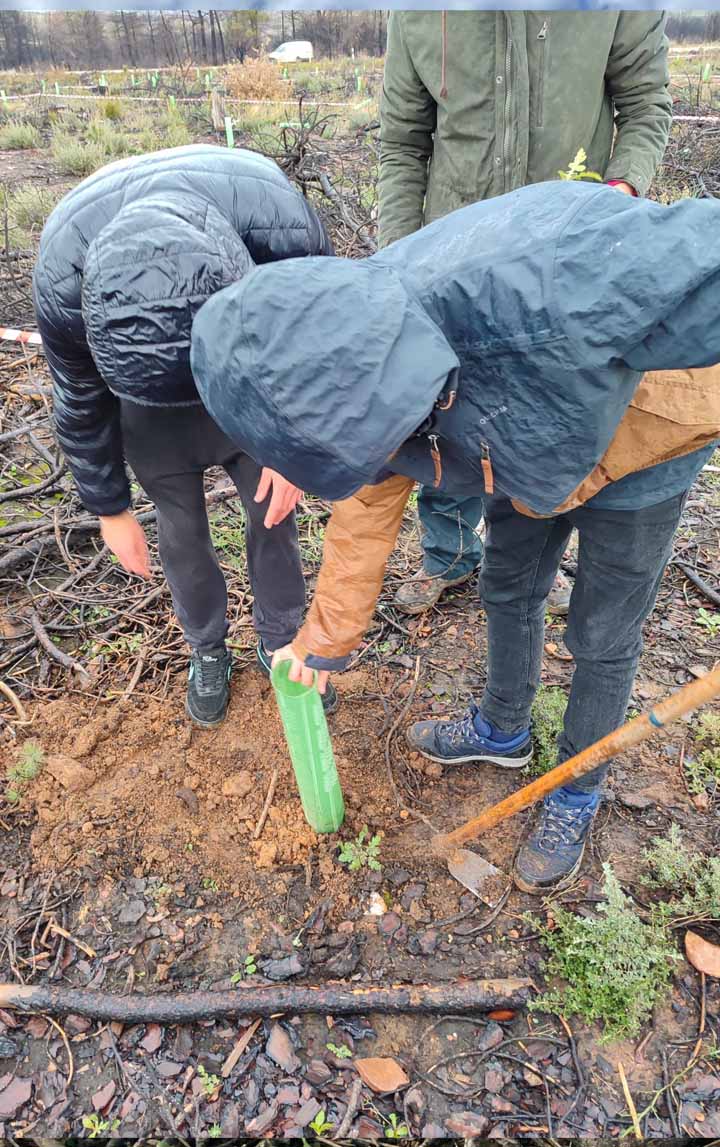 "De un árbol puede crecer un bosque": La Asociación "La Culebra No se Calla" lidera un movimiento de reforestación tras los incendios en Zamora 9