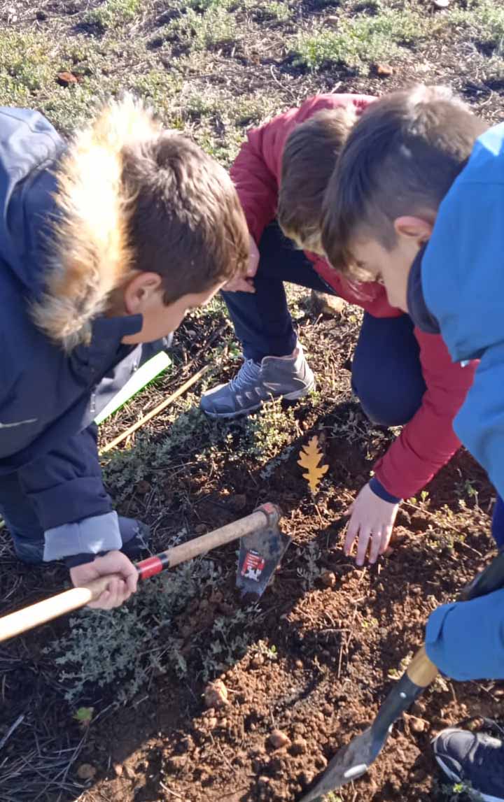 "De un árbol puede crecer un bosque": La Asociación "La Culebra No se Calla" lidera un movimiento de reforestación tras los incendios en Zamora 7