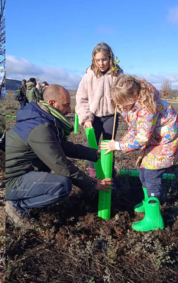 "De un árbol puede crecer un bosque": La Asociación "La Culebra No se Calla" lidera un movimiento de reforestación tras los incendios en Zamora 6
