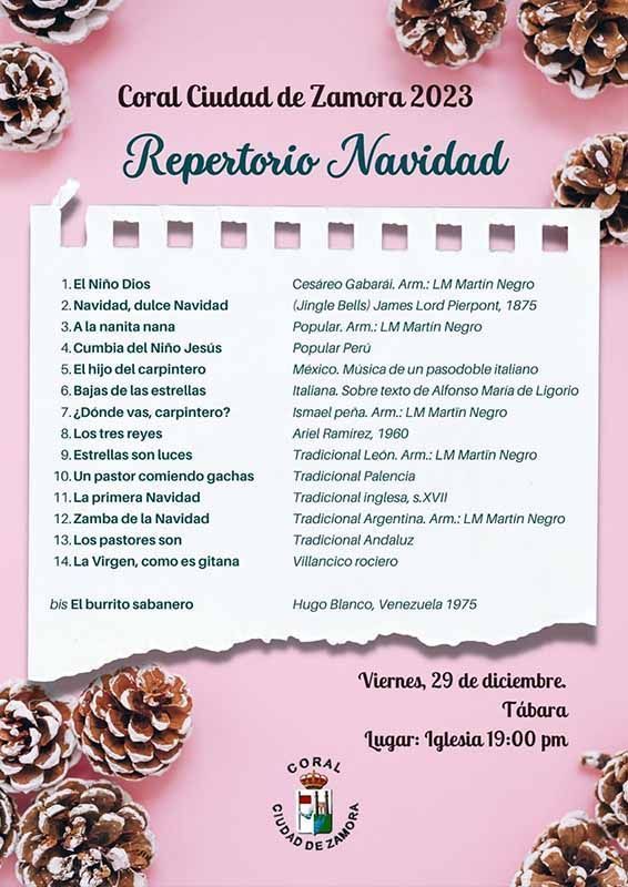 Concierto Navideño en la Iglesia Parroquial de Tábara 2
