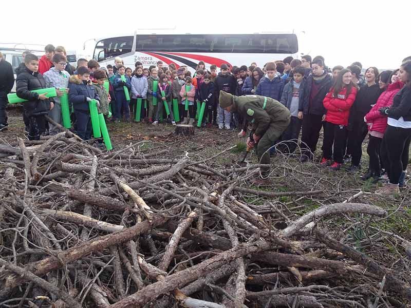 "De un árbol puede crecer un bosque": La Asociación "La Culebra No se Calla" lidera un movimiento de reforestación tras los incendios en Zamora 1