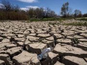 La Junta recuerda a agricultores y ganaderos la necesidad de formalizar las ayudas de bonificación de préstamos para hacer frente a la sequía, cuyo plazo termina el 15 de febrero