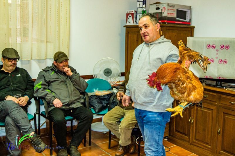 Celebración anual en honor a San Antonio Abad, una tradición que no se puede perder 7