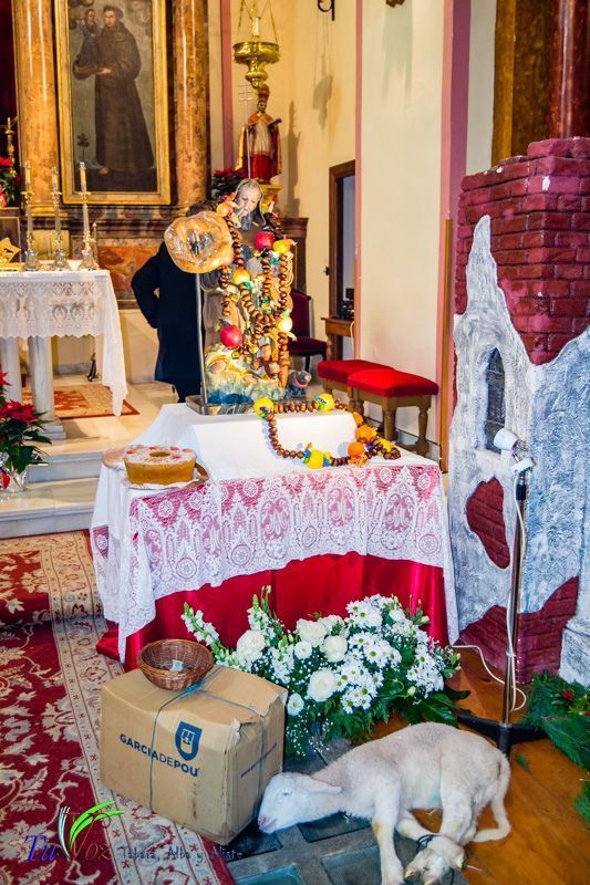 Celebración anual en honor a San Antonio Abad, una tradición que no se puede perder 4