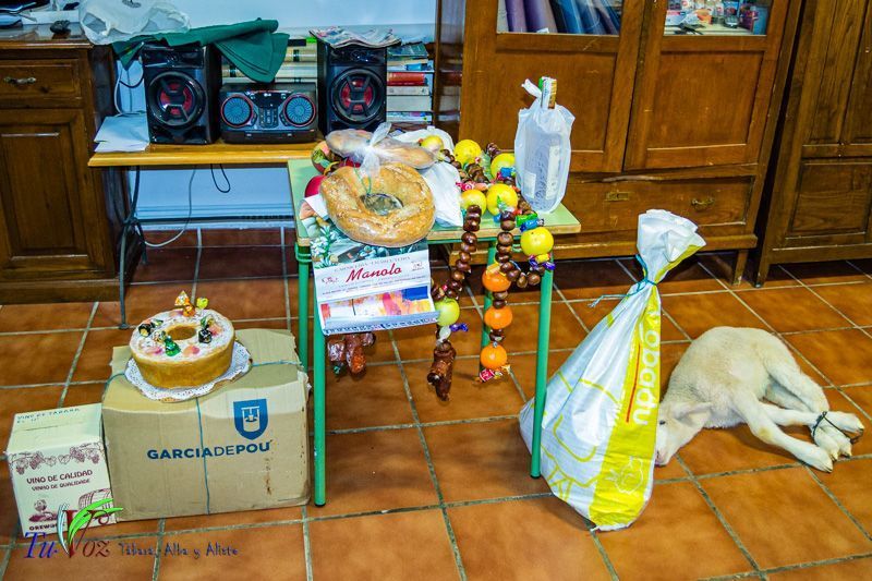 Celebración anual en honor a San Antonio Abad, una tradición que no se puede perder 24