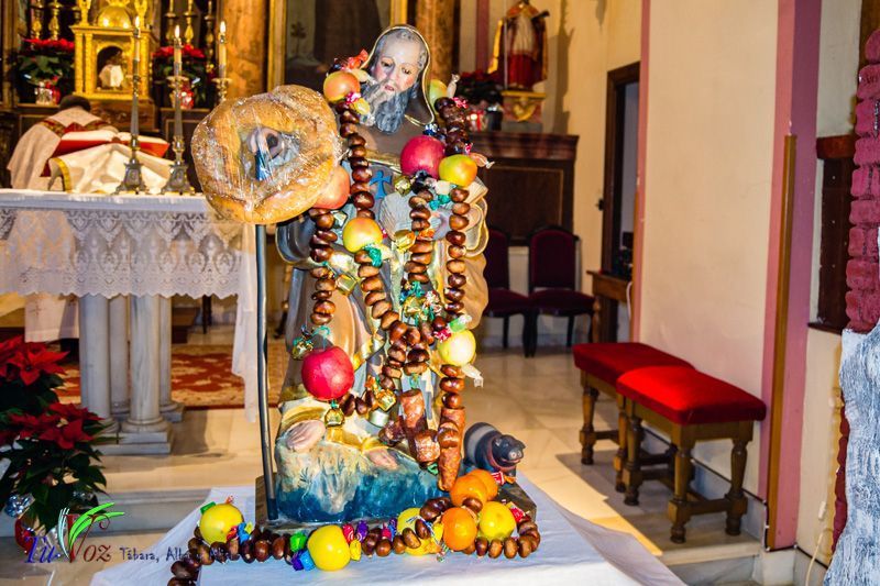 Celebración anual en honor a San Antonio Abad, una tradición que no se puede perder 3