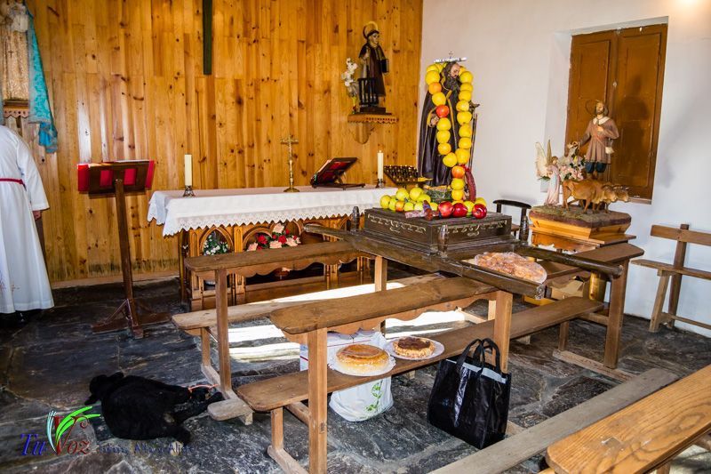 Celebración Tradicional en San Lorenzo: Honrando a los mártires San Sebastián y San Fabián así como a San Antonio. 3