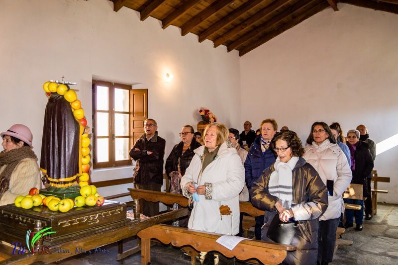 Celebración Tradicional en San Lorenzo: Honrando a los mártires San Sebastián y San Fabián así como a San Antonio. 9