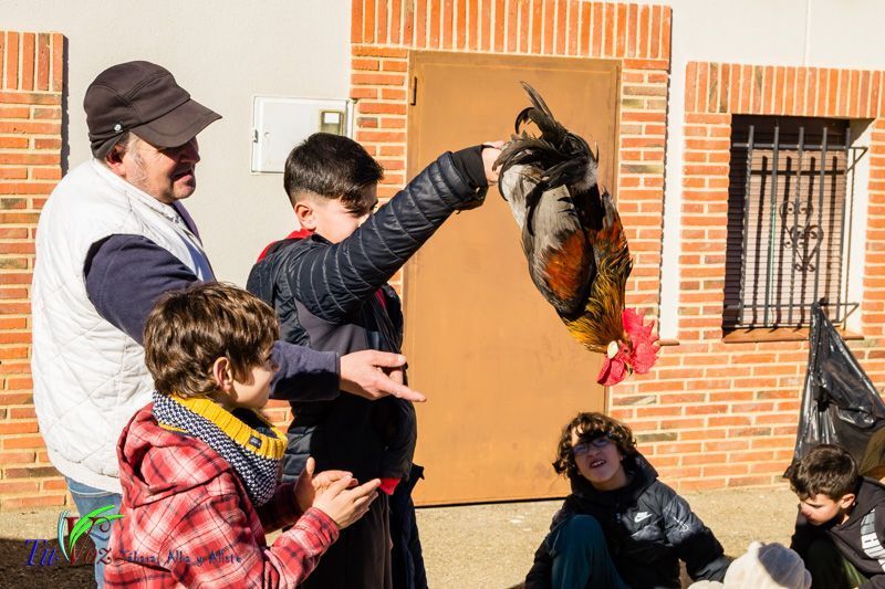 Celebración Tradicional en San Lorenzo: Honrando a los mártires San Sebastián y San Fabián así como a San Antonio. 29