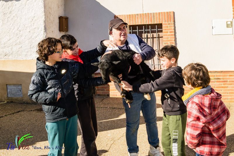 Celebración Tradicional en San Lorenzo: Honrando a los mártires San Sebastián y San Fabián así como a San Antonio. 32