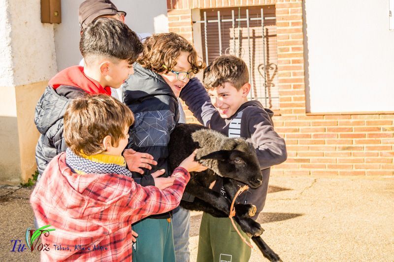 Celebración Tradicional en San Lorenzo: Honrando a los mártires San Sebastián y San Fabián así como a San Antonio. 34