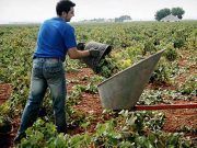 116.700 personas trabajadoras en Castilla y León se benefician de la subida del 5% del SMI