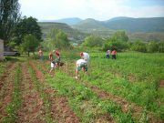 Agricultura, Ganadería y Desarrollo Rural publica el régimen de ayudas para la aplicación de Estrategias de Desarrollo Local (LEADER) en Castilla y León en el período 2023-2027