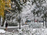 Desactivadas las Alertas por Nieve en Castilla y León: AEMET toma medidas ante las últimas actualizaciones