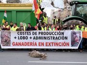 Jornada con Incidencia Menor en la Huelga Agrícola: Protestas Concentradas en Burgos, Valladolid, Soria y Zamora