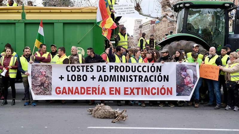 Jornada con Incidencia Menor en la Huelga Agrícola: Protestas Concentradas en Burgos, Valladolid, Soria y Zamora 1
