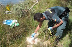 La Guardia Civil investiga a una persona por un delito de maltrato animal
