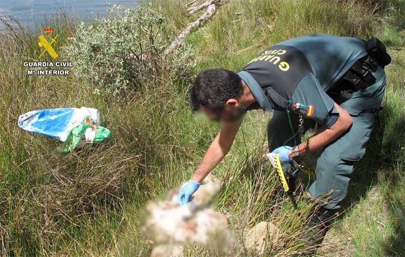 La Guardia Civil investiga a una persona por un delito de maltrato animal 1
