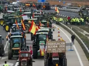 Protestas Agrarias en Castilla y León: Piquetes y Movilizaciones en Diferentes Provincias