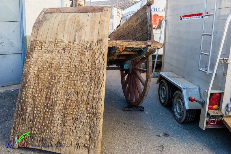 La Matanza: Tradición que gracias al Restaurante El Roble, Perdura en Tábara 31