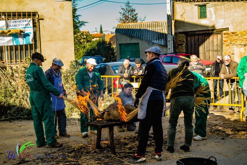 La Matanza: Tradición que gracias al Restaurante El Roble, Perdura en Tábara 20