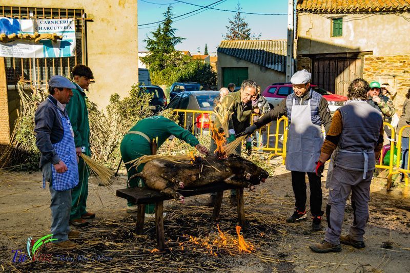La Matanza: Tradición que gracias al Restaurante El Roble, Perdura en Tábara 28