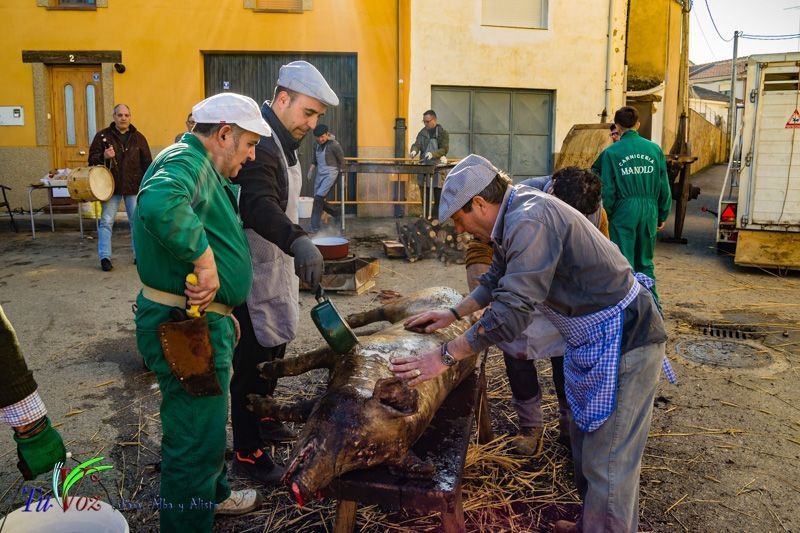 La Matanza: Tradición que gracias al Restaurante El Roble, Perdura en Tábara 44