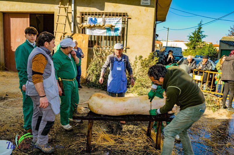 La Matanza: Tradición que gracias al Restaurante El Roble, Perdura en Tábara 42