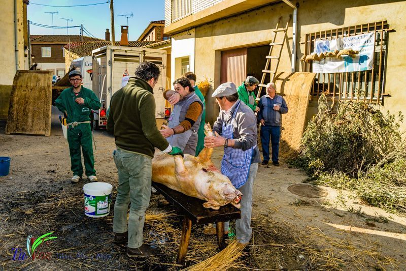La Matanza: Tradición que gracias al Restaurante El Roble, Perdura en Tábara 41
