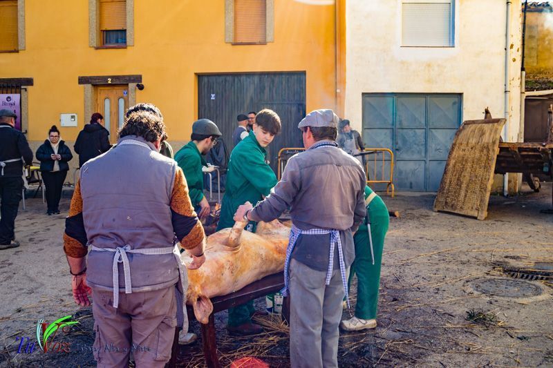 La Matanza: Tradición que gracias al Restaurante El Roble, Perdura en Tábara 47