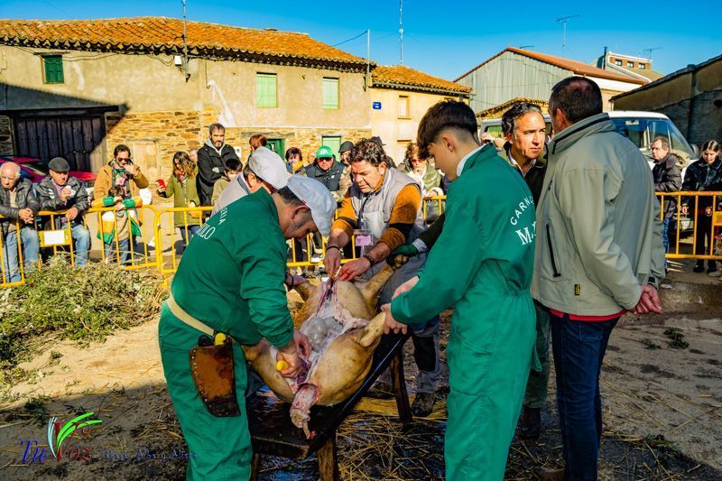 La Matanza: Tradición que gracias al Restaurante El Roble, Perdura en Tábara 51