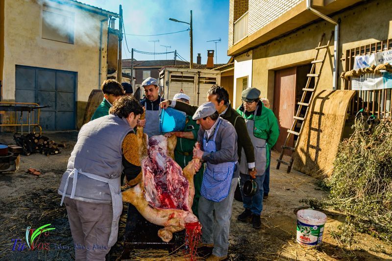 La Matanza: Tradición que gracias al Restaurante El Roble, Perdura en Tábara 49