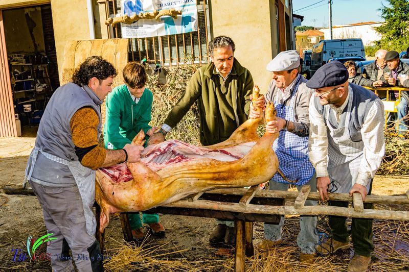 La Matanza: Tradición que gracias al Restaurante El Roble, Perdura en Tábara 1